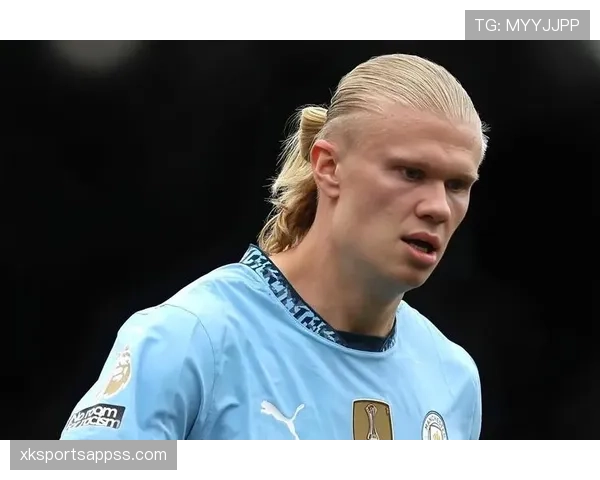 哈兰德全能属性与纯终结者结构差异解析